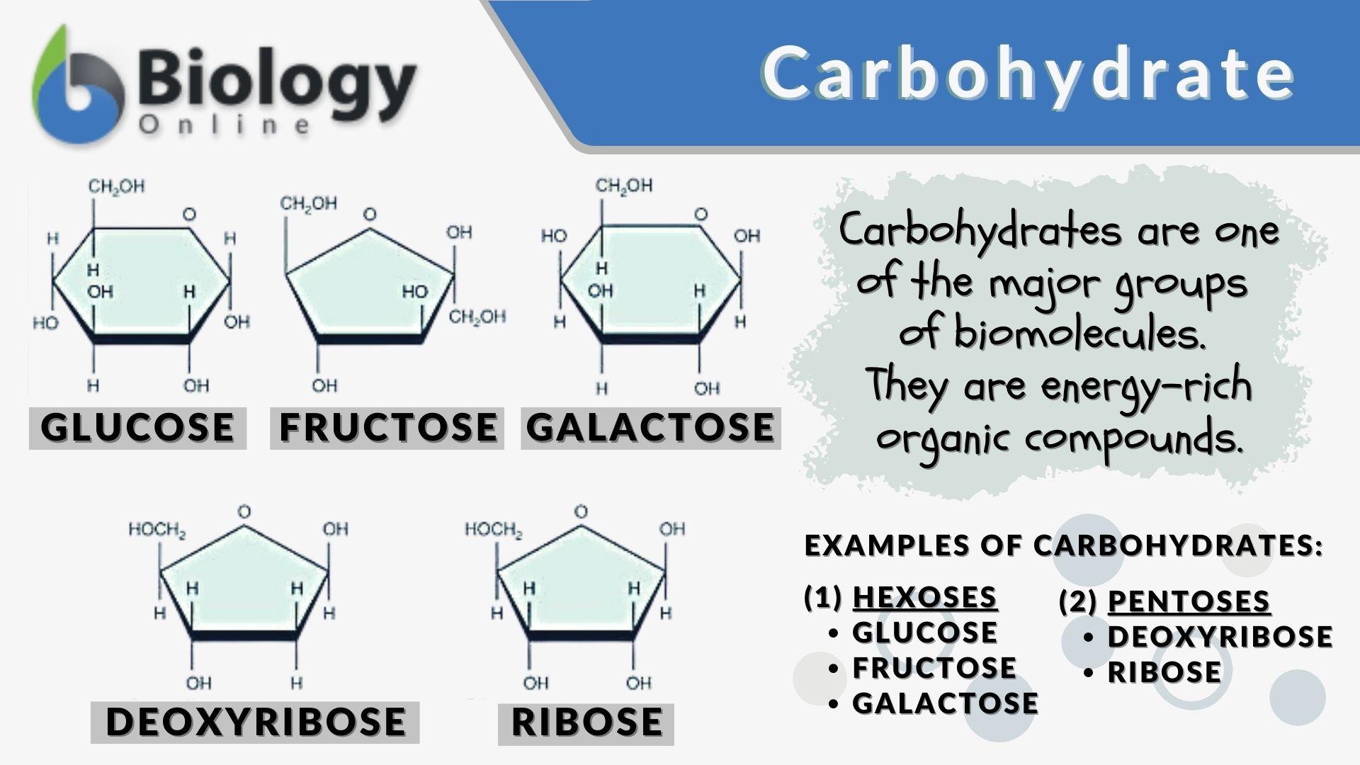 Carbohydrate Definition And Meaning Enni IM
